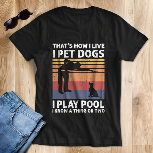 Funny Retro Billiards T-Shirt I Play Pool I Know A Thing Or Two, Gift For Pool Player TDM3941