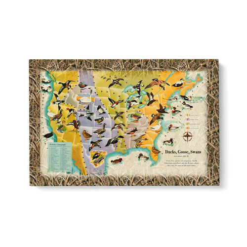 Ducks goose swans fly US map Matte Canvas (1.25