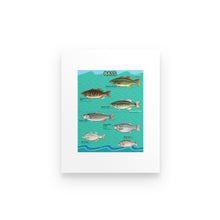 Load image into Gallery viewer, Bass fishing family poster
