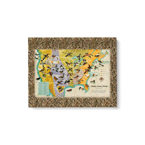 Ducks goose swans fly US map Matte Canvas (1.25")